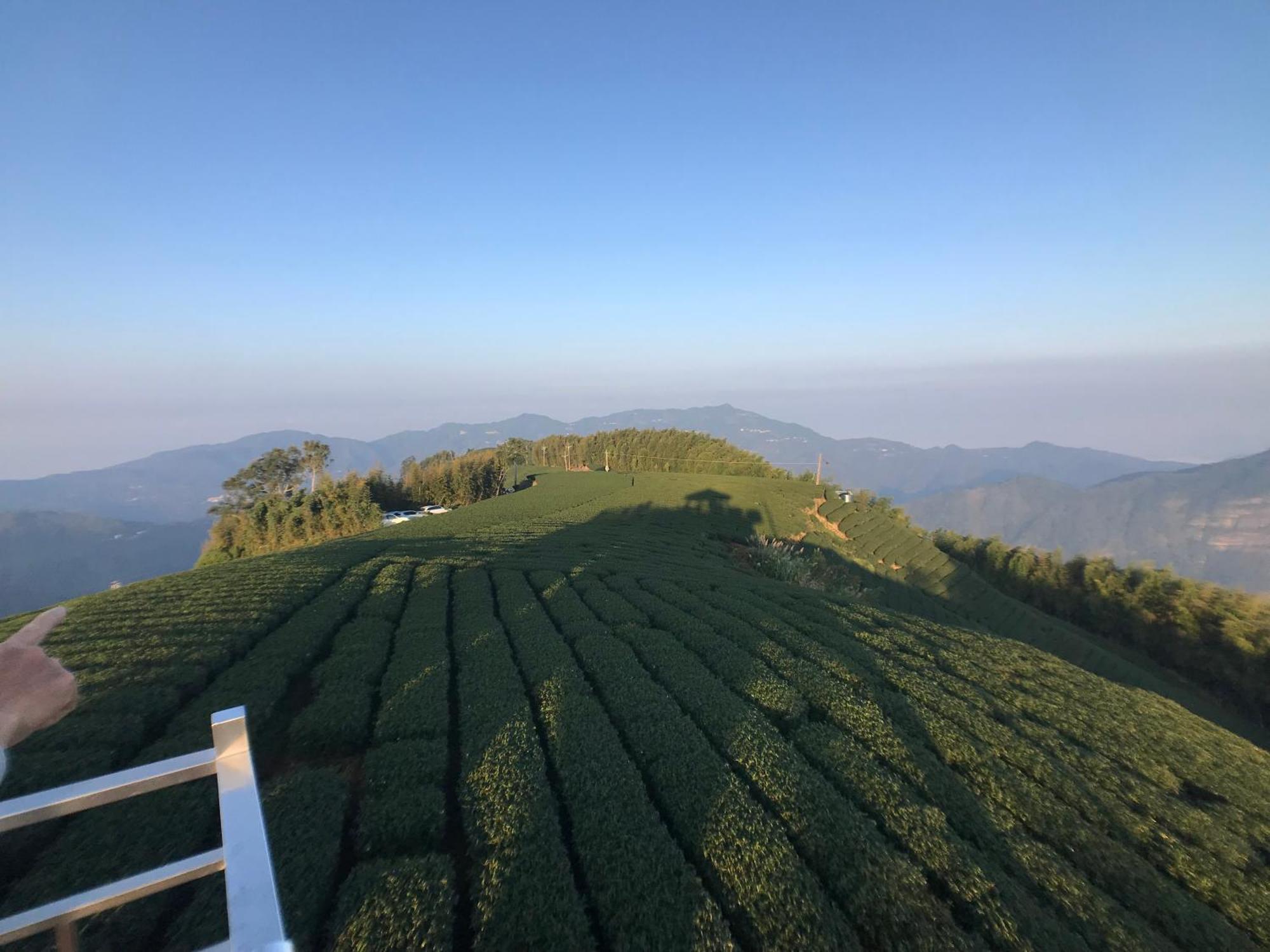 梅山乡詹德仁茶园民宿公寓 外观 照片